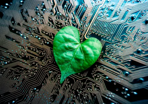 亚盈体育平台案例